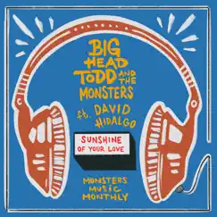 Sunshine of Your Love (feat. David Hidalgo) - Single by Big Head Todd & The Monsters album reviews, ratings, credits