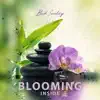 Blooming Inside (Zen Meditation, Sitar and Drums) album lyrics, reviews, download