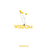 Wisdom artwork