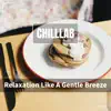 Relaxation Like a Gentle Breeze album lyrics, reviews, download