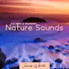 Kalimba & Morning Nature Sounds: Rain, River, Wind and Ocean Waves (Nature Ringtones 2022) album lyrics, reviews, download