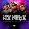 Passa Sarrando na Peça (feat. Dj renan) song lyrics