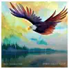 Spirit Eagle Sleep album lyrics, reviews, download
