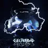electricidad - Single album lyrics, reviews, download
