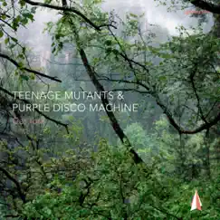 Get Lost - Single by Teenage Mutants & Purple Disco Machine album reviews, ratings, credits