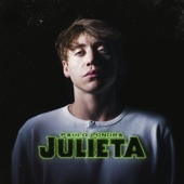 Julieta artwork