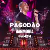 Stream & download Pagodão (Ao Vivo) - Single