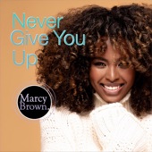 Never Give You Up artwork