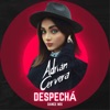 DESPECHÁ (Dance Mix) - Single