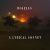 A Lyrical Sonnet - Single album lyrics, reviews, download