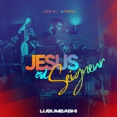 Jesus est Seigneur Lubumbashi (Live) artwork