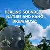 Healing Sounds of Nature and Hang Drum Music album lyrics, reviews, download