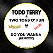 Do You Wanna (Todd Terry Remixxx) artwork