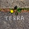 Terra - Eugenio In Via Di Gioia lyrics