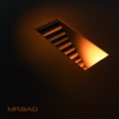 MR. BAD (feat. Woo) artwork