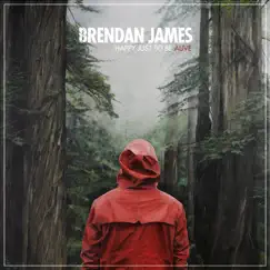 Happy Just to Be Alive - Single by Brendan James album reviews, ratings, credits