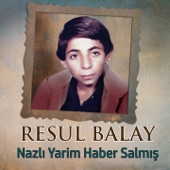 Nazlı Yarim Haber Salmış artwork