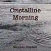 Crystalline Morning - Single album lyrics, reviews, download