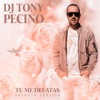 Tu Me Delatas (Cover) - Single