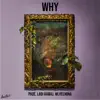 Stream & download Why (with WLHELMINA) - Single