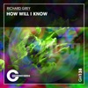 How Will I Know - Single