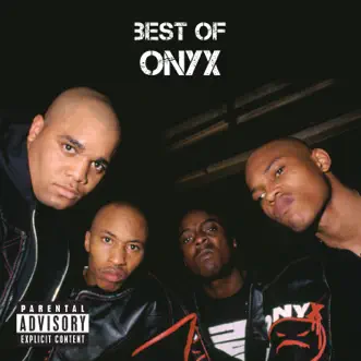 Last Dayz by Onyx song reviws