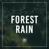 Forest Rain album lyrics, reviews, download