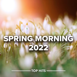 Spring Morning 2022