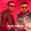 Sa fie nebunie - Single