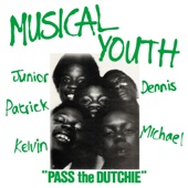 Pass The Dutchie (12" Version) artwork