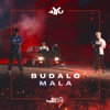 Budalo Mala - Single