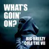 What's Goin' On? (feat. Cole the VII) - Single album lyrics, reviews, download