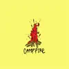 Stream & download CAMPFIRE