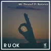 R U Ok (feat. ByLovva) song lyrics