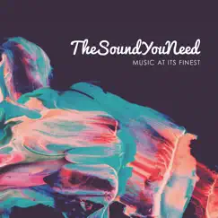 TheSoundYouNeed, Vol. 1 by Various Artists album reviews, ratings, credits