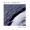 Beyond a Storm - Blue Carbon lyrics