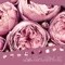 Piano Stress Relief Academy - Jazz Piano Moods lyrics