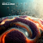 fabric presents Nicola Cruz (DJ Mix) artwork