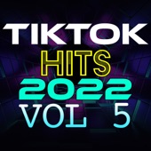 TikTok Hits 2022, Vol. 5 artwork