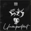 Unimportant - Single album lyrics, reviews, download