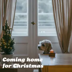 Coming Home For Christmas by Various Artists album reviews, ratings, credits