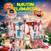 Nautin elämästä artwork