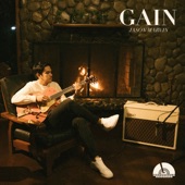 GAIN artwork