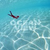 Ocean View - Single