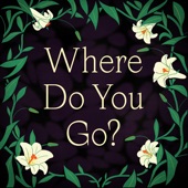 Where Do You Go? artwork