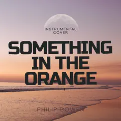 Something in the Orange (Instrumental) - Single by Philip Bowen album reviews, ratings, credits