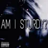 Am I Sturdy - Single album lyrics, reviews, download