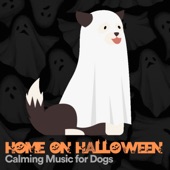 Home on Halloween Calming Music for Dogs artwork