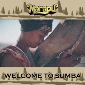 Welcome to Sumba artwork