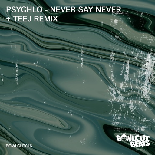 Never Say Never - Single by Psychlo, Teej